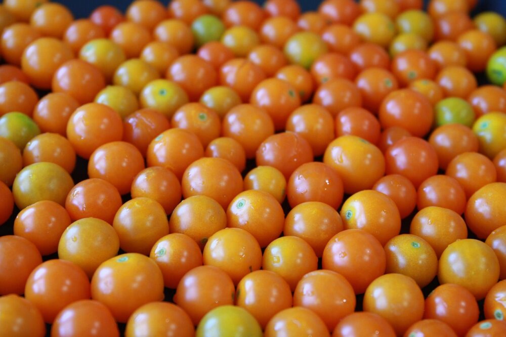 yellow-cherry-tomato-945187_1280 yellow-cherry-tomato-945187_1280