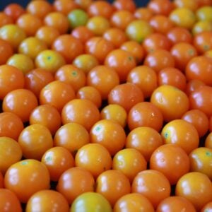 Tomate Cerise Jaune Savoureuse
