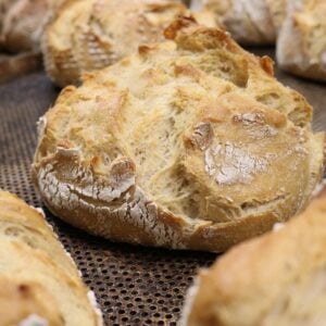 Levain de Seigle Déshydraté