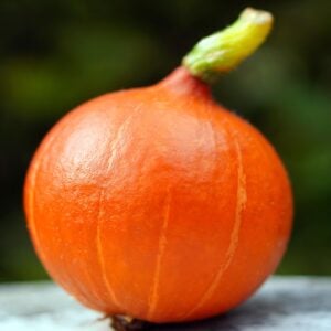 Courge Buttercup Pépites d'or