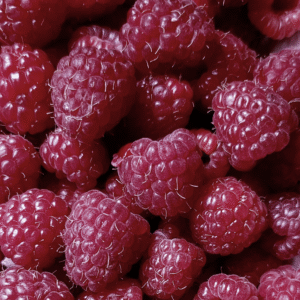 Framboise Mauve