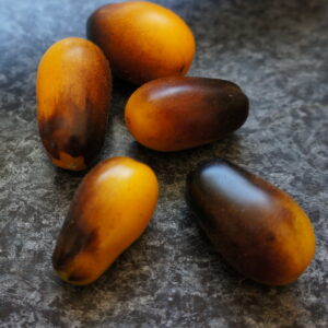 Indigo Pear Tomato (Solanum lycopersicum)