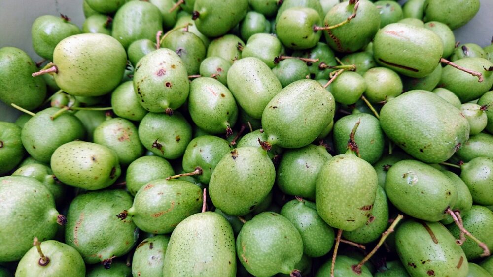 actinidia-5836046_1280 actinidia-5836046_1280