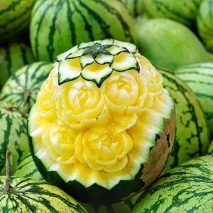 Petit Melon d’Eau Jaune du Québec