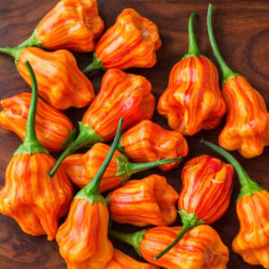 Piment Zebrange
