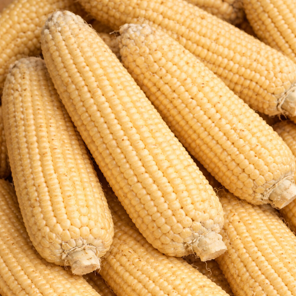 amishbutter
