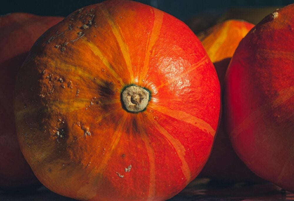 wal_172619-red-kuri-squash-6675045_1280 wal_172619-red-kuri-squash-6675045_1280