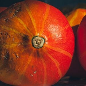 Courge Amber Cup