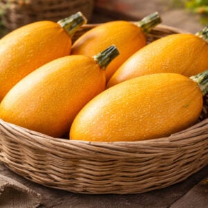 Courge Orangetti
