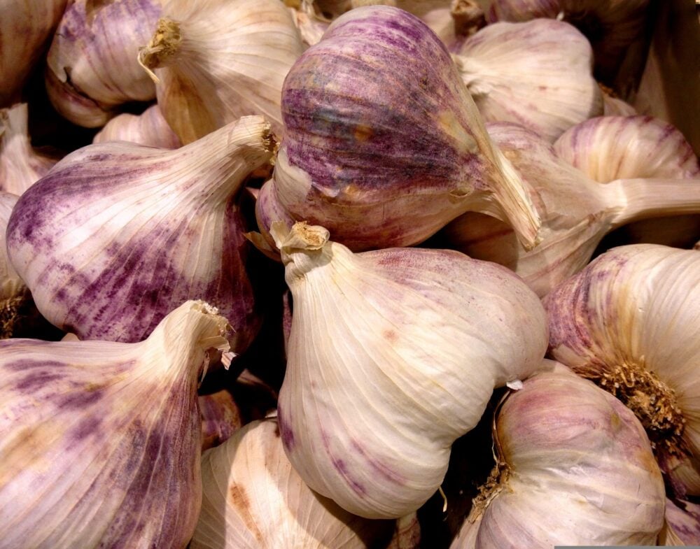 denisdoukhan-garlic-643396