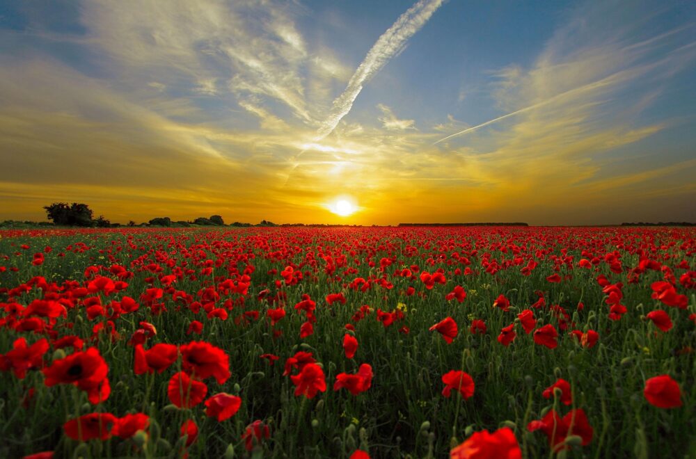 diego_torres-sunset-815270_1920