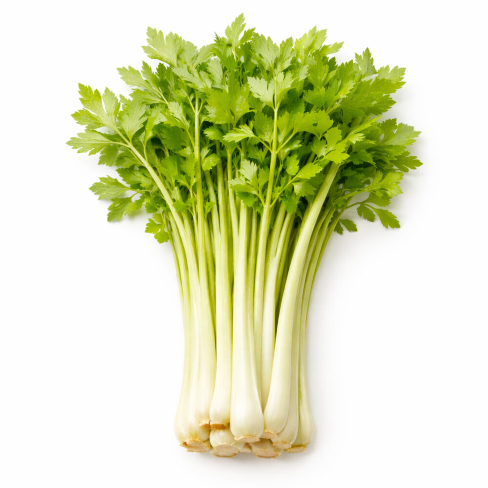 chinoisblanc chinoisblanc