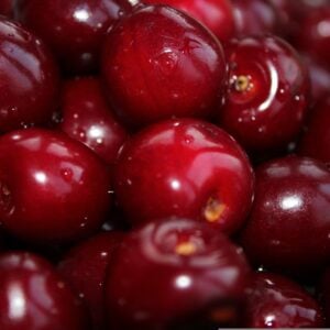 Cerise Cupidon
