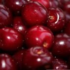 cerise cupidon